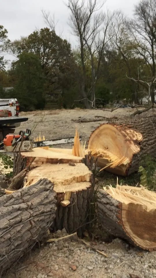 Local landscape installation experts serving Bethalto, IL - Stassi's Outdoor Services