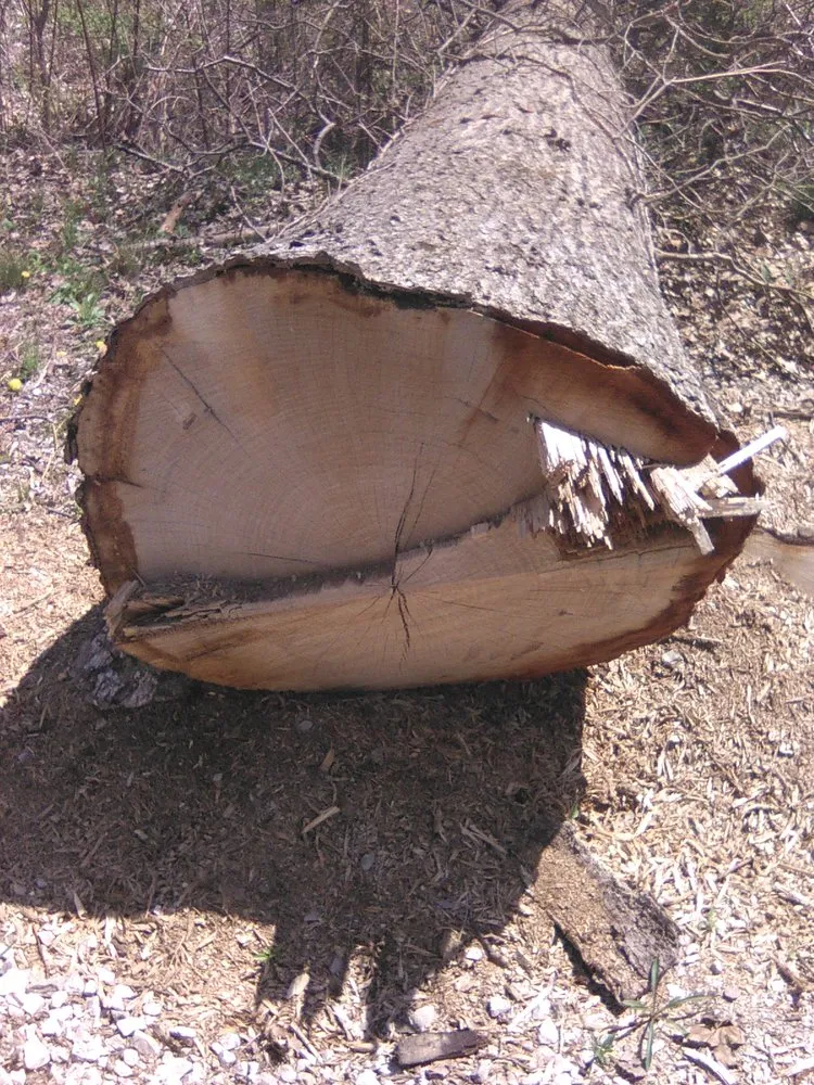 Expert landscape installation in Bethalto, IL - Stassi's Outdoor Services