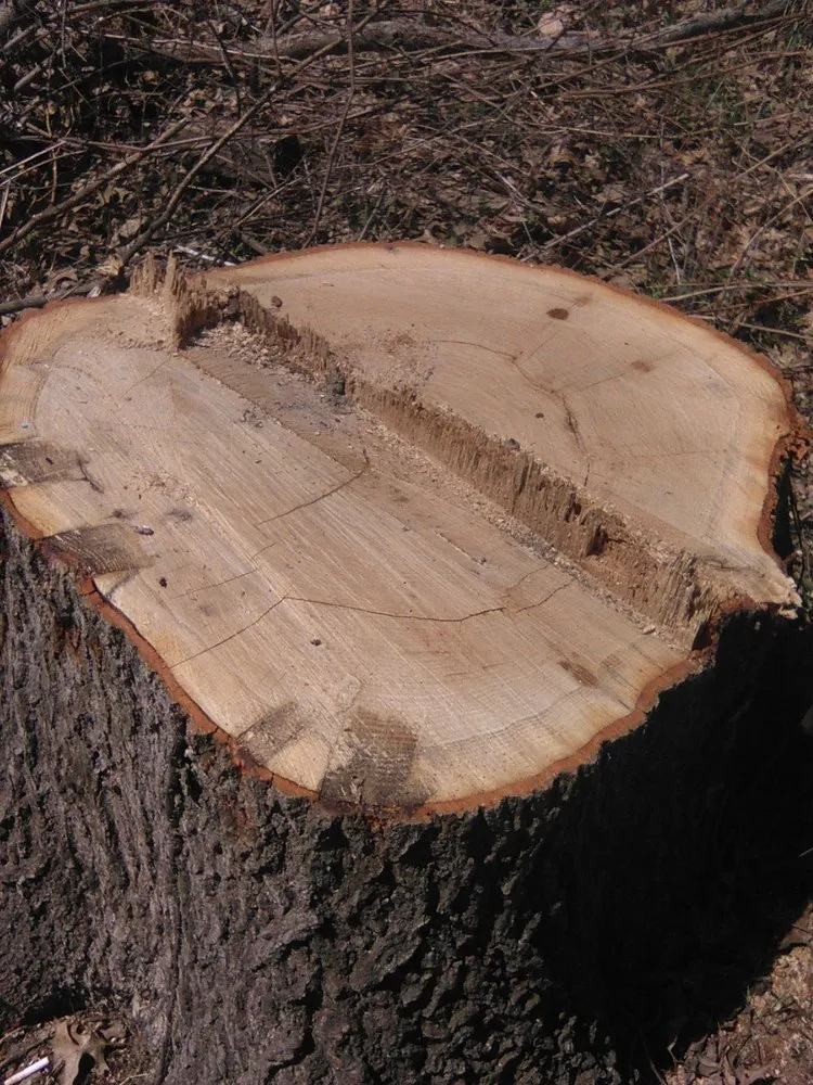 Custom landscape design for residential properties in Bethalto, IL by Stassi's Outdoor Services