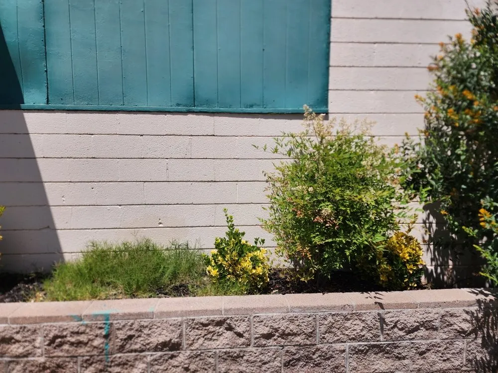 Expert landscape design in Camp Verde, AZ - State 48 Landscape & Maintenance