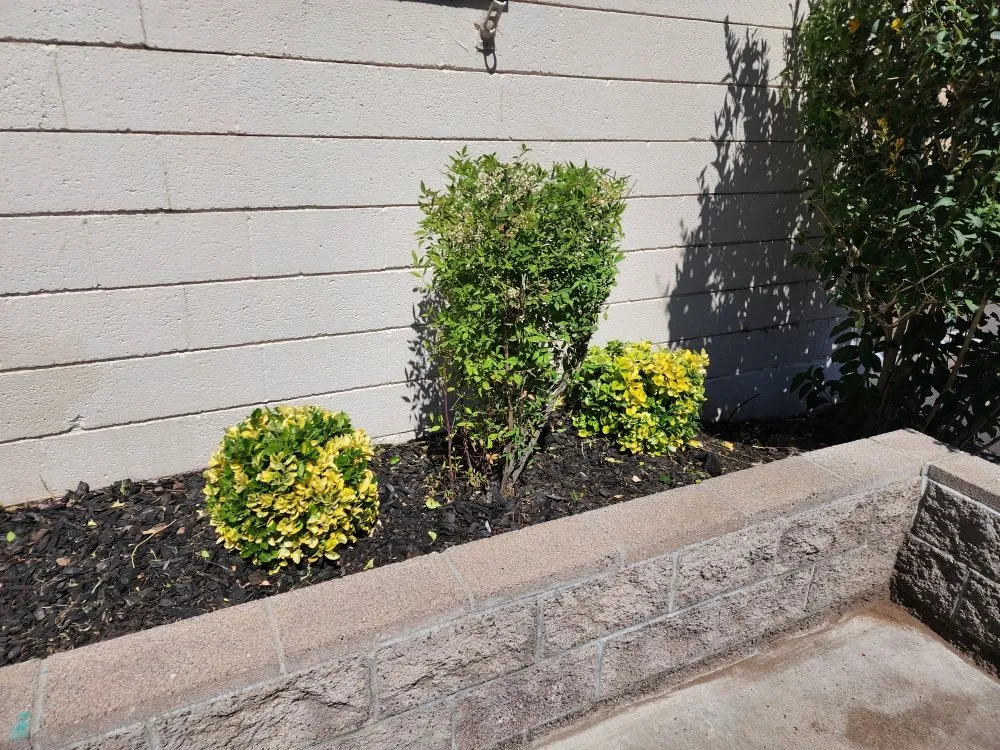 Trusted landscape installation in Camp Verde, AZ - State 48 Landscape & Maintenance