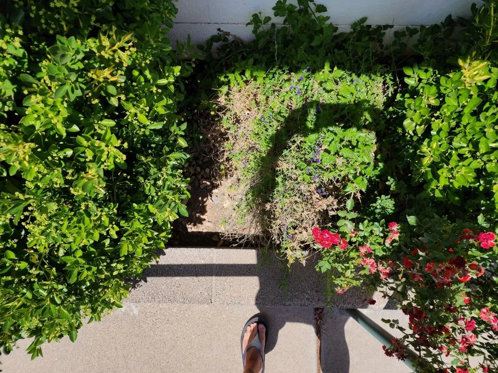 Expert landscape installation with custom design across Camp Verde, AZ - State 48 Landscape & Maintenance