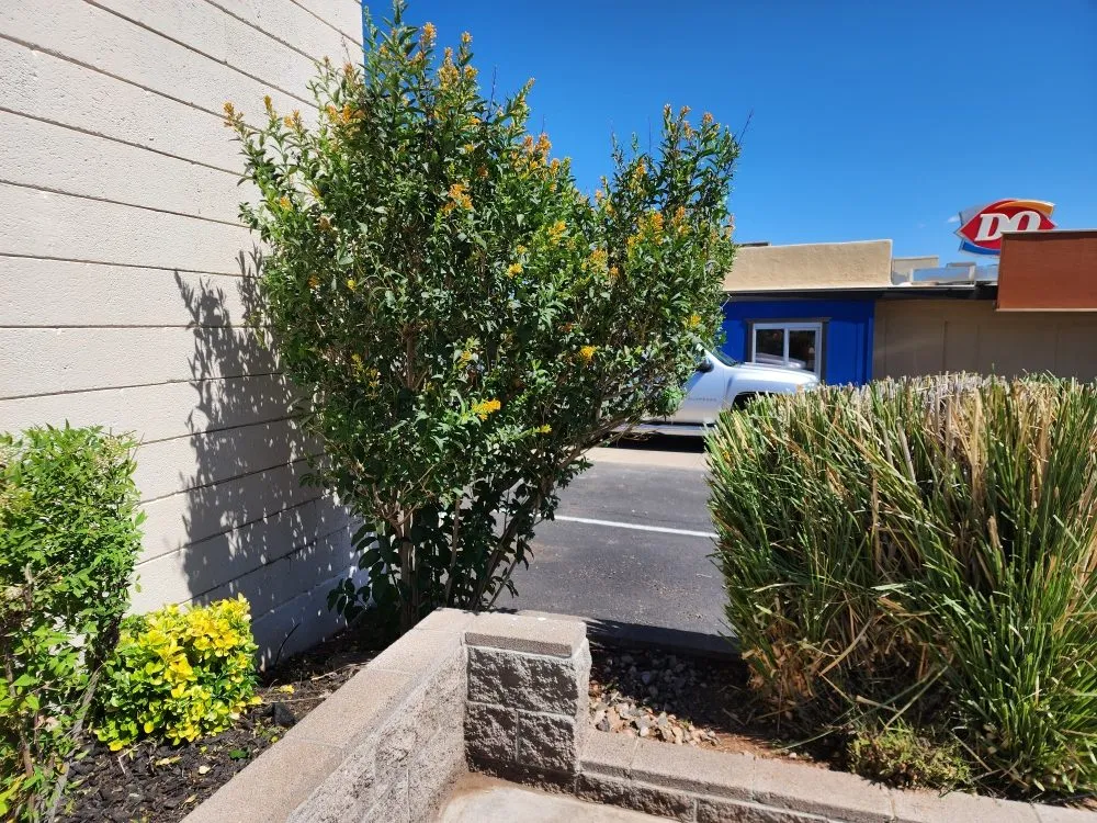 Professional lawn mowing service with custom design across Camp Verde, AZ - State 48 Landscape & Maintenance