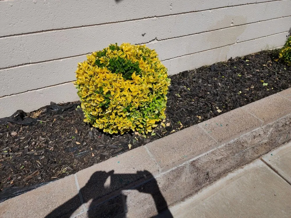 Reliable landscaping services in Camp Verde, AZ by State 48 Landscape & Maintenance