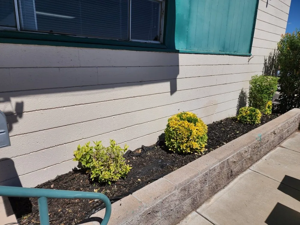 Top-rated outdoor landscaping for beautiful yards in Camp Verde, AZ by State 48 Landscape & Maintenance