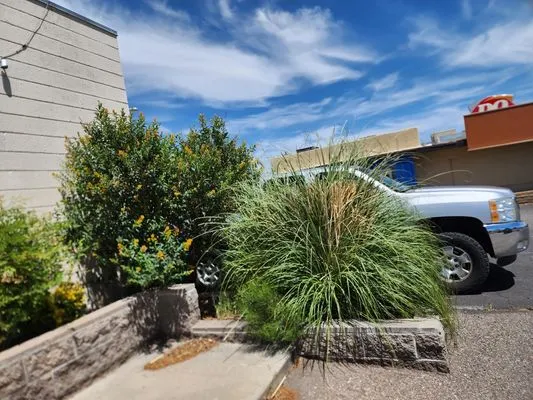 State 48 Landscape & Maintenance