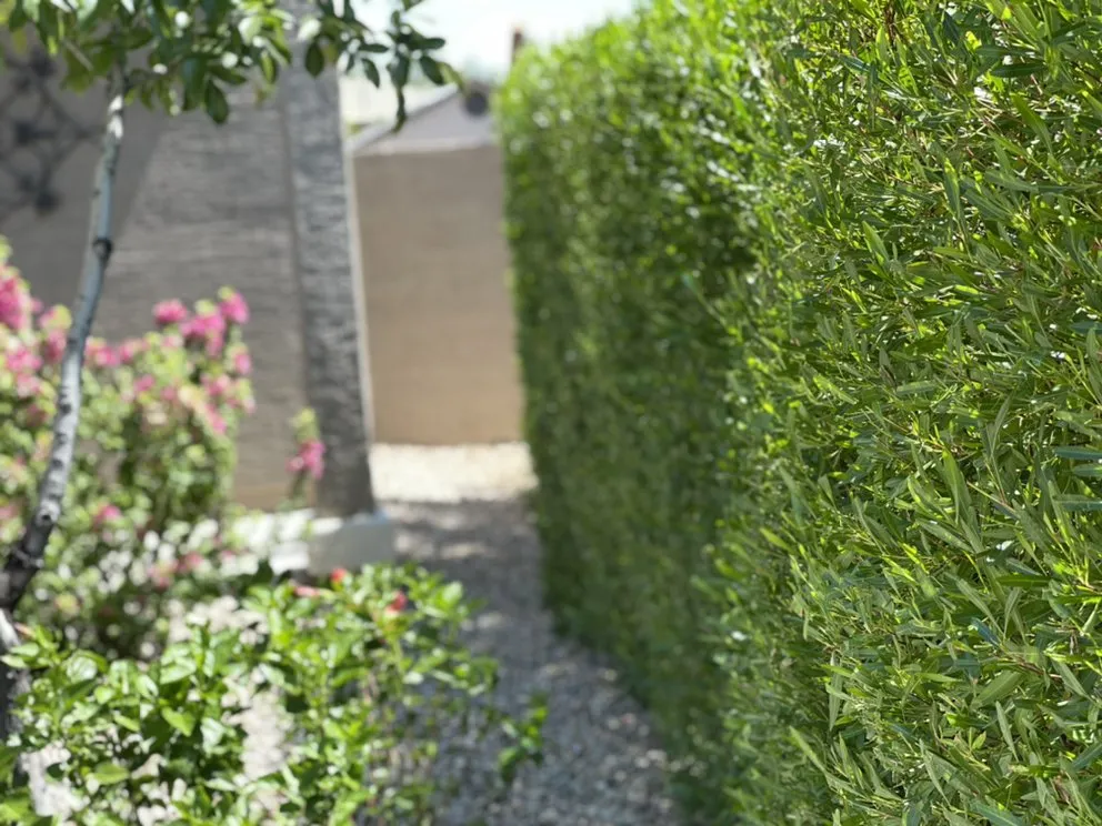 Reliable yard maintenance in Queen Creek, AZ by State 48 Landscaping and Lawncare