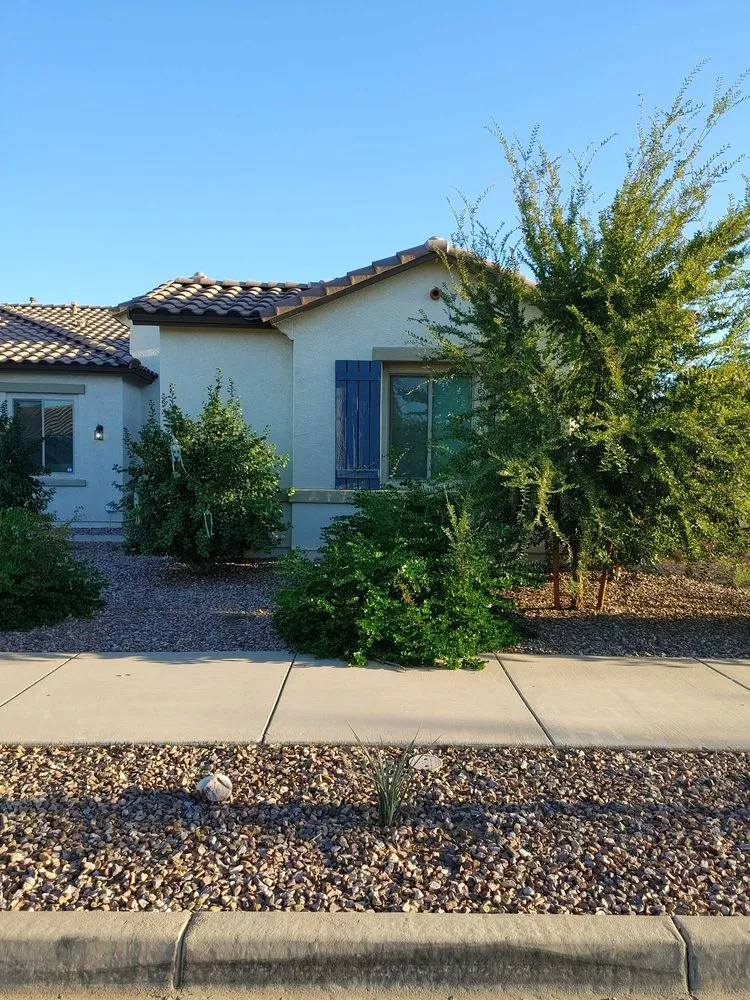 Trusted lawn care service experts serving Queen Creek, AZ - State 48 Landscaping and Lawncare