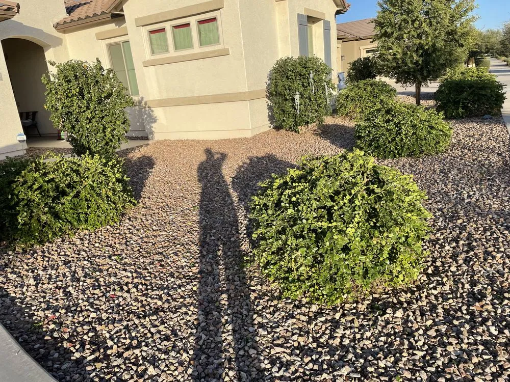 Affordable landscape design in Queen Creek, AZ - State 48 Landscaping and Lawncare