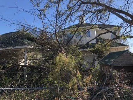 Reliable landscape installation experts serving Panama City, FL - State Contractors