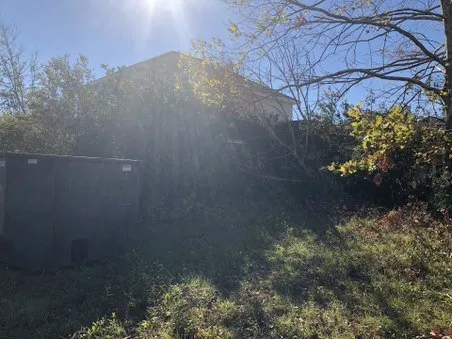 Trusted lawn care service experts serving Panama City, FL - State Contractors