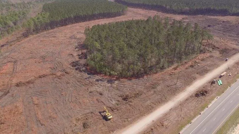 Professional lawn mowing service with custom design across Panama City, FL - State Contractors