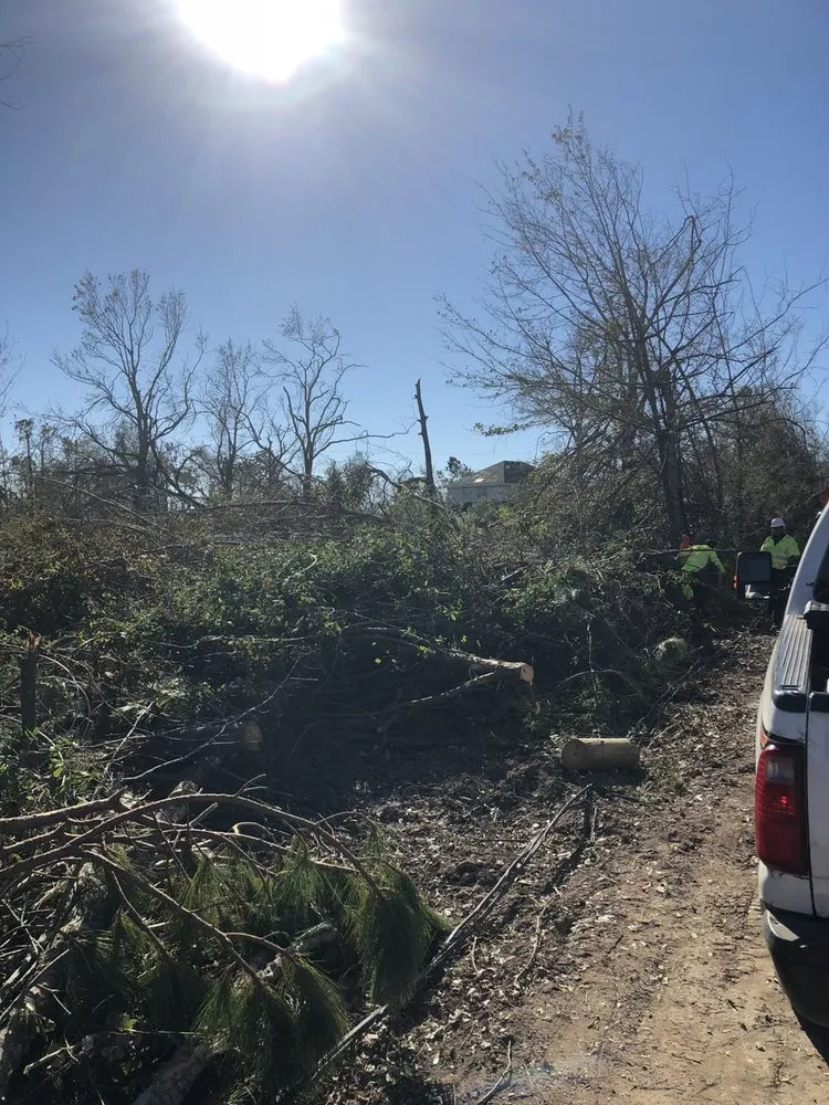 Affordable lawn care service for outdoor upgrades in Panama City, FL by State Contractors