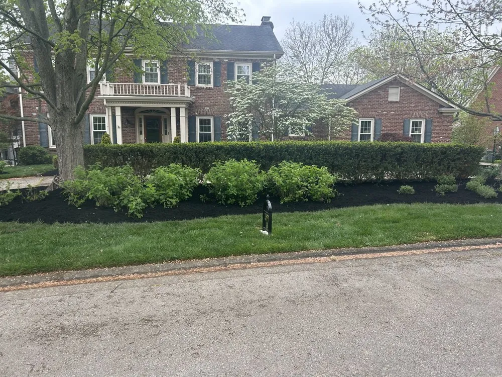 Local yard cleanup service experts serving Versailles, KY - State Gray Lawn