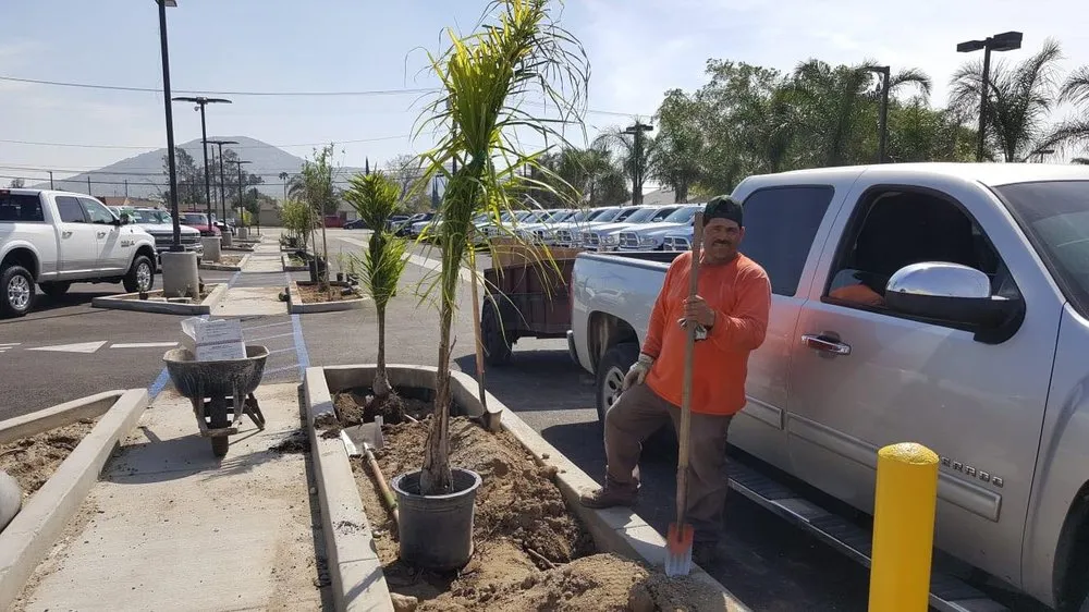 Top-rated yard maintenance for year-round maintenance in Bloomington, CA by State Green Landscaping