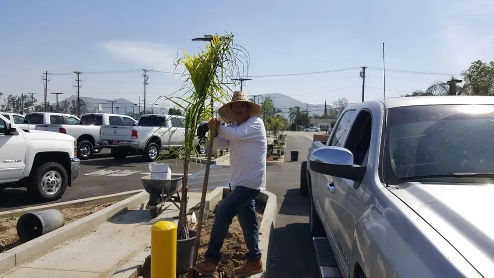 Custom landscaping services experts serving Bloomington, CA - State Green Landscaping