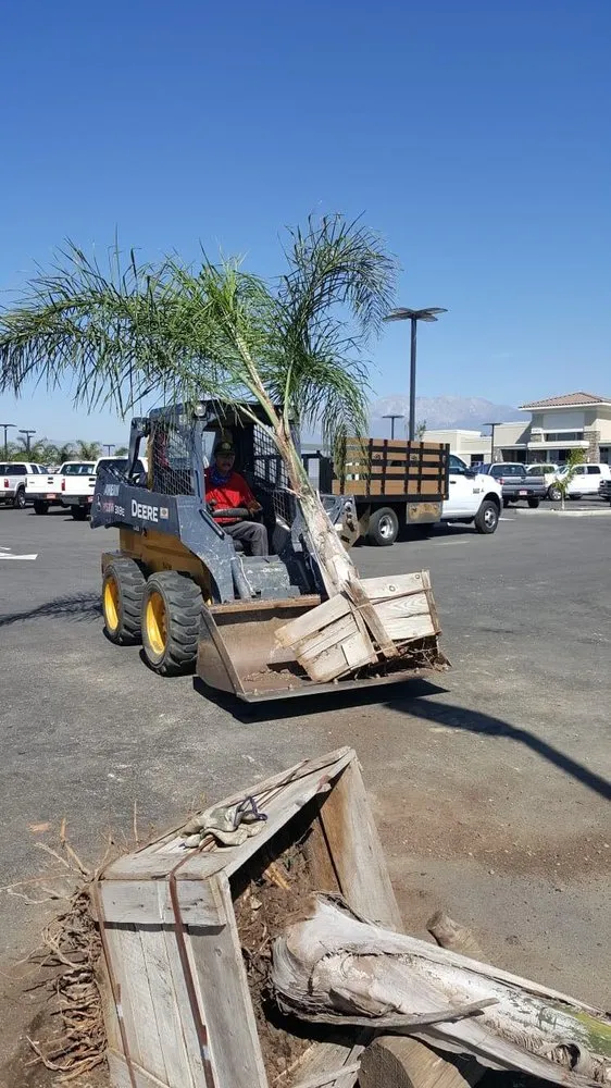 Professional residential landscaping near you in Bloomington, CA by State Green Landscaping