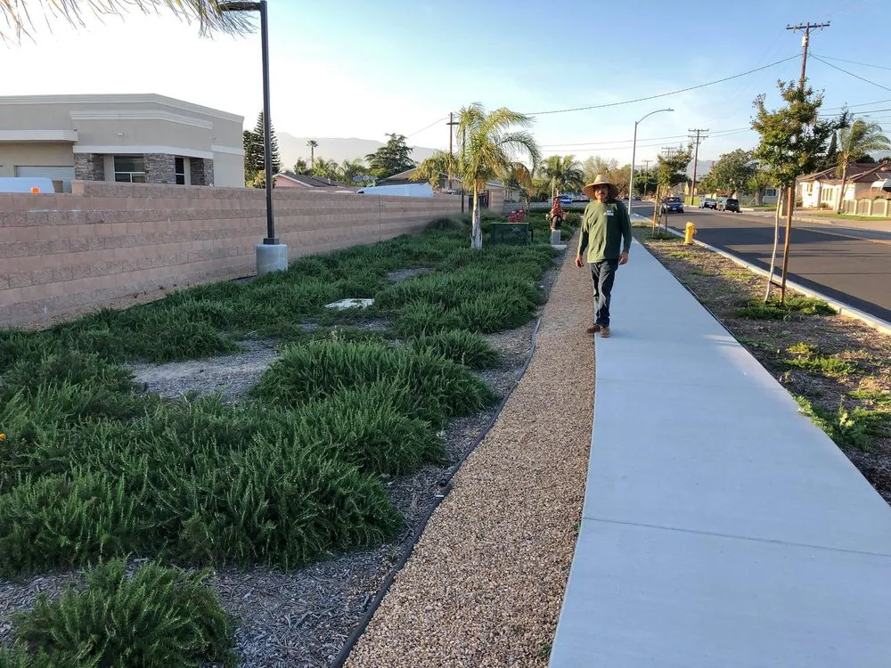 Professional landscaping services with custom design across Bloomington, CA - State Green Landscaping