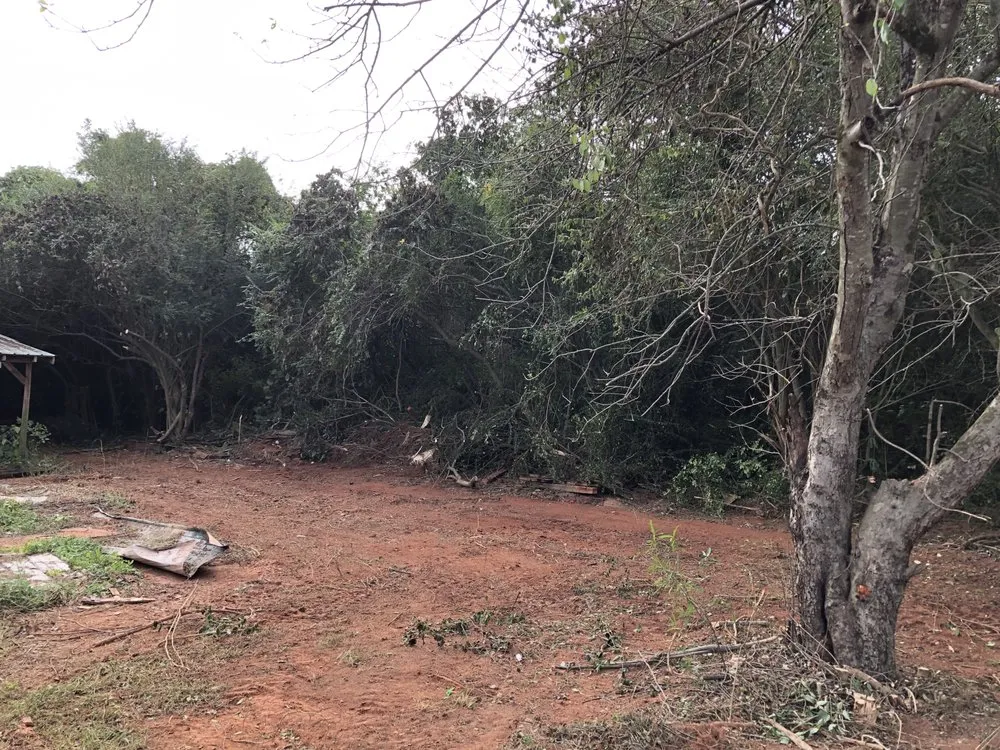 Affordable landscape installation in Ruby, SC by Stateline Gravel and Land Services
