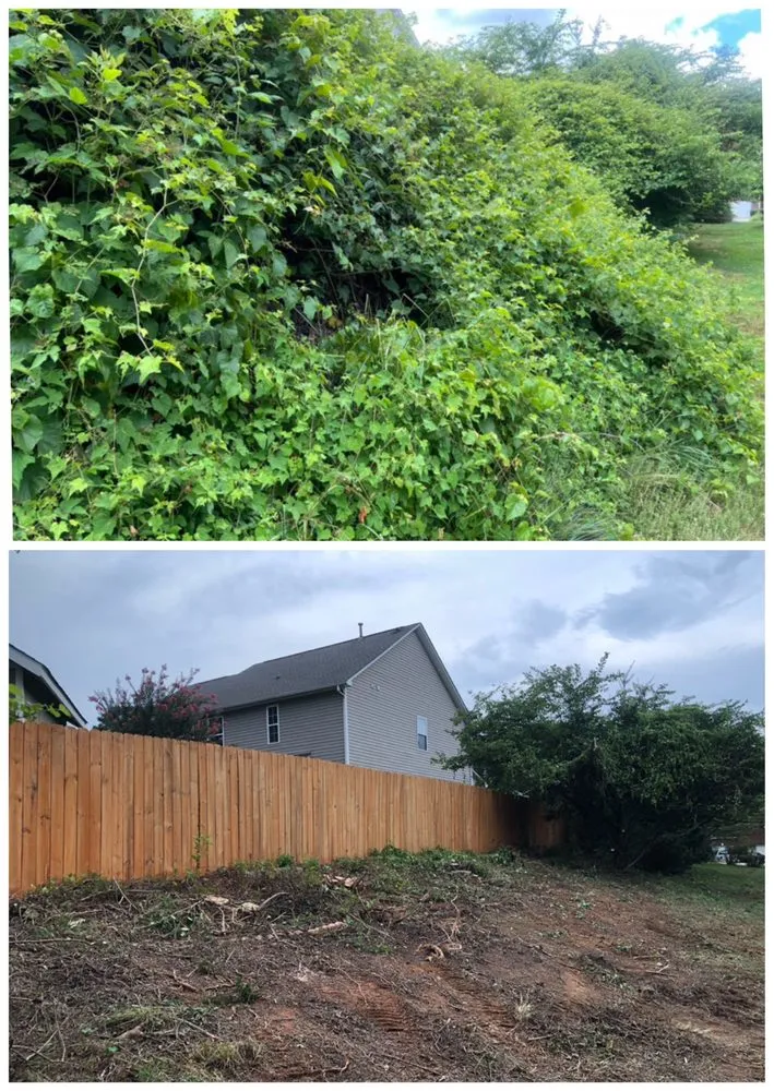 Reliable yard cleanup service in Ruby, SC by Stateline Gravel and Land Services