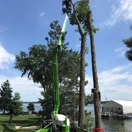 Expert lawn care service near you in Mound, MN by Statement Tree Care