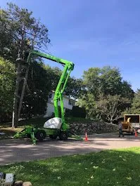 Trusted landscape design in Mound, MN by Statement Tree Care