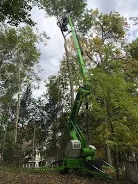 Affordable outdoor landscaping near you across Mound, MN - Statement Tree Care