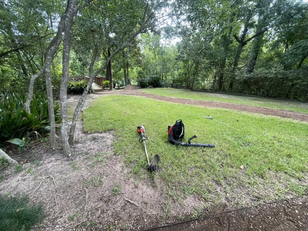 Top-rated yard cleanup service for homes in Houston, TX by Statera Solutions