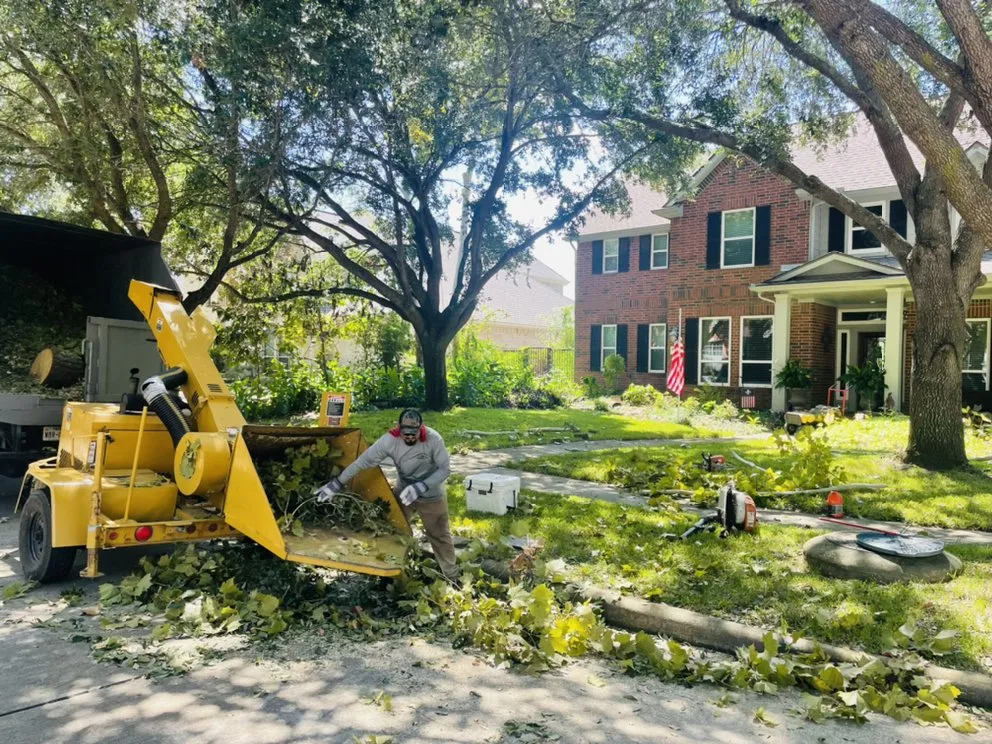 Top-rated yard maintenance experts serving Houston, TX - Statera Solutions