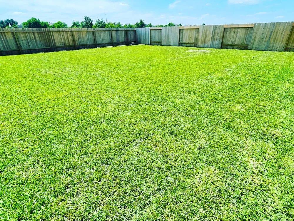 Reliable landscape installation experts serving Houston, TX - Statera Solutions