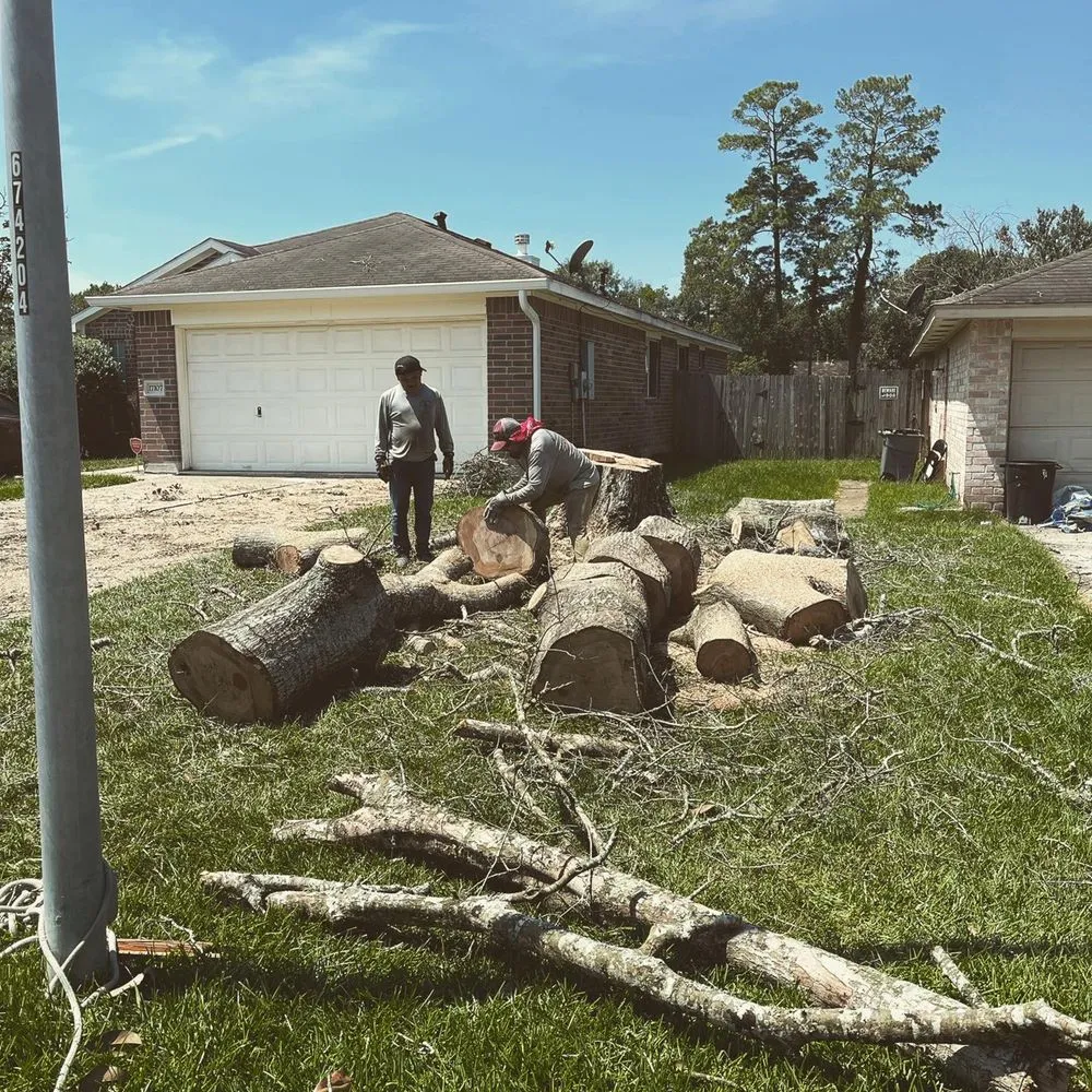 Trusted outdoor landscaping for outdoor upgrades across Houston, TX - Statera Solutions