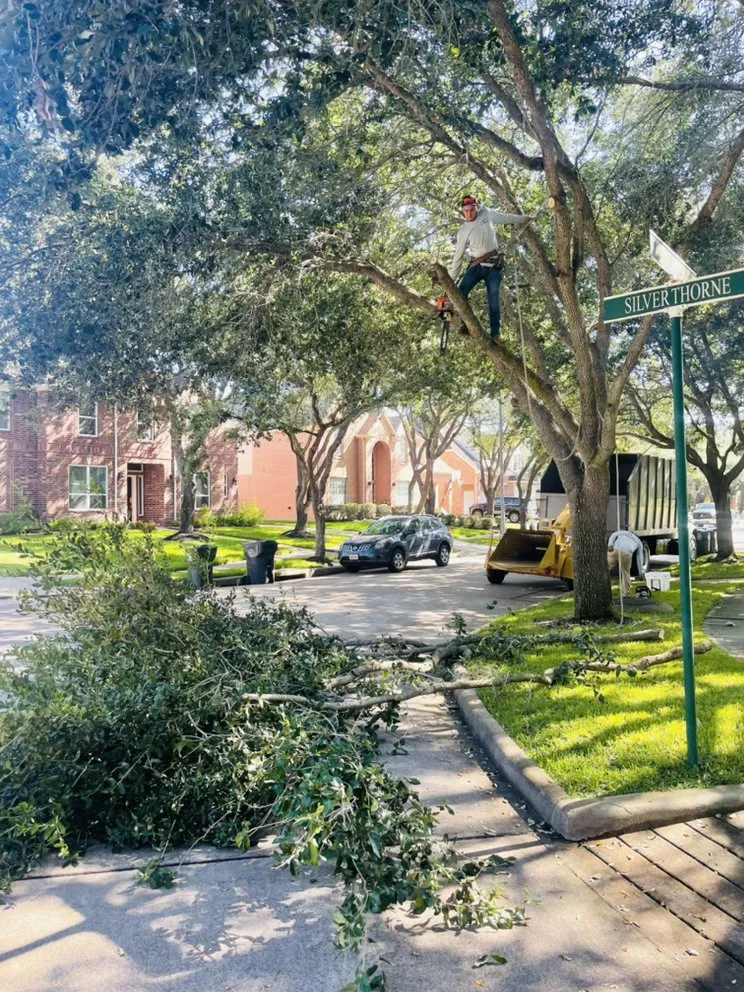 Custom landscape design in Houston, TX by Statera Solutions