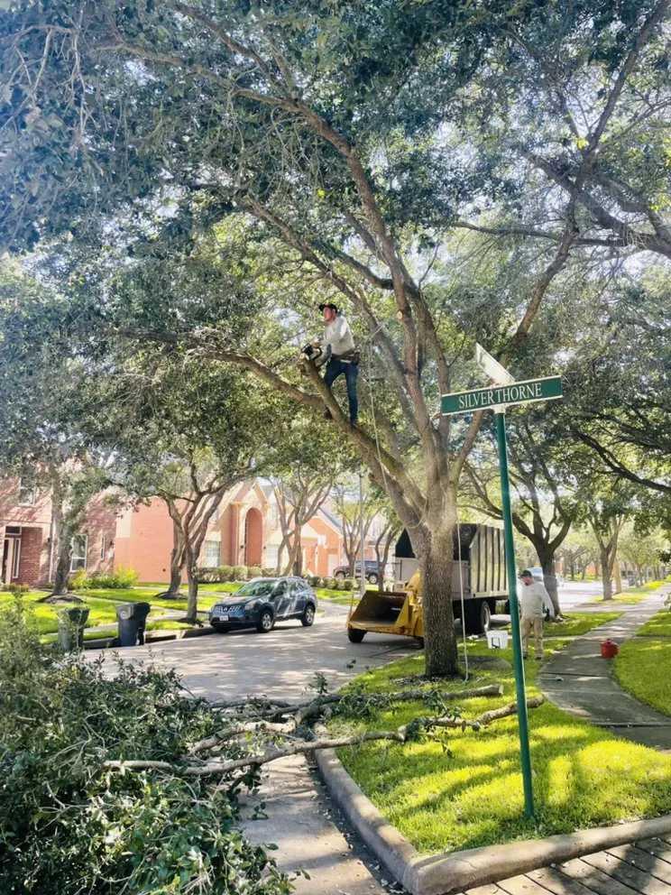 Affordable lawn care service in Houston, TX by Statera Solutions