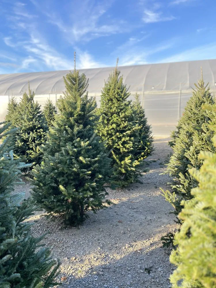 Reliable outdoor landscaping near you in West Chester, OH by Station Road Farm & Landscaping