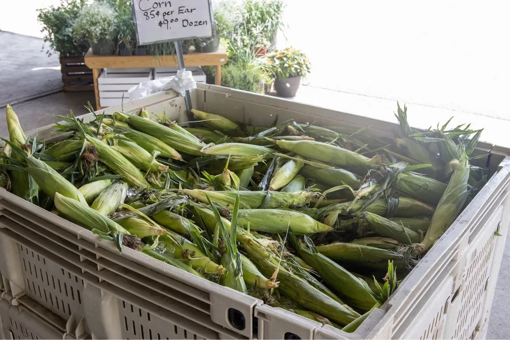 Affordable residential landscaping near you in West Chester, OH by Station Road Farm & Landscaping