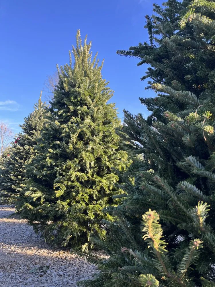 Top-rated lawn mowing service with custom design across West Chester, OH - Station Road Farm & Landscaping