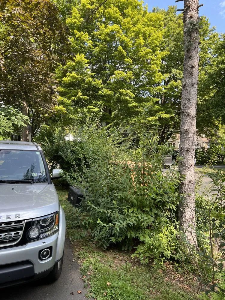 Reliable landscape design near you in Doylestown, PA by Status Mow