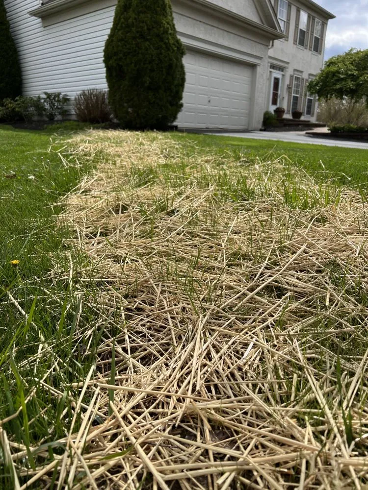 Top-rated yard maintenance in Doylestown, PA by Status Mow