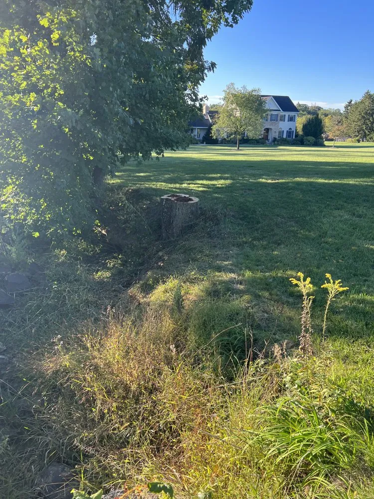 Reliable landscaping services experts serving Doylestown, PA - Status Mow