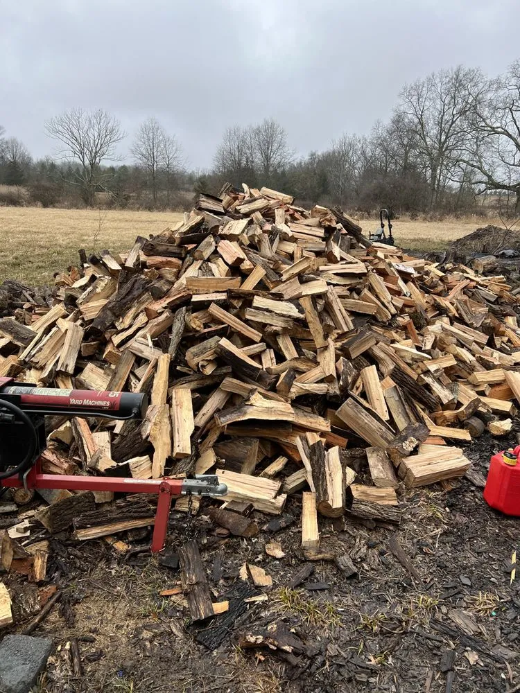 Trusted landscaping services for beautiful yards across Doylestown, PA - Status Mow