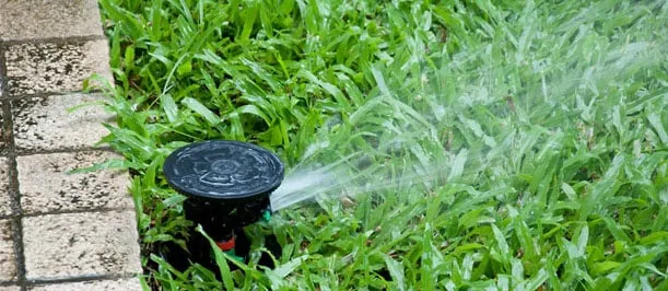 Top-rated yard maintenance for residential properties in Auburn, KS by Stauffer Lawn & Landscape