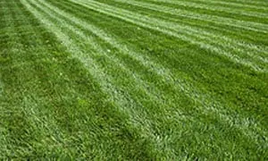 Reliable yard maintenance experts serving Auburn, KS - Stauffer Lawn & Landscape