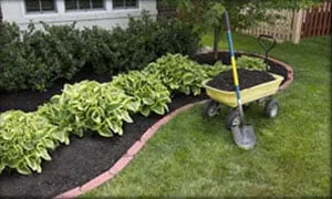 Trusted yard maintenance in Auburn, KS - Stauffer Lawn & Landscape