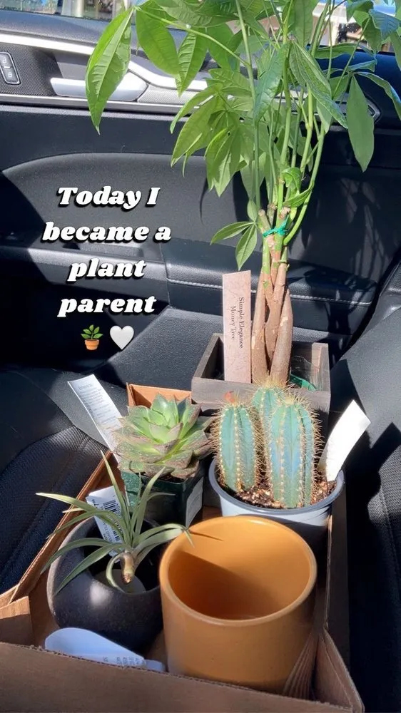 Reliable lawn mowing service in Harrisburg, PA by Stauffers Of Kissel Hill Home & Garden