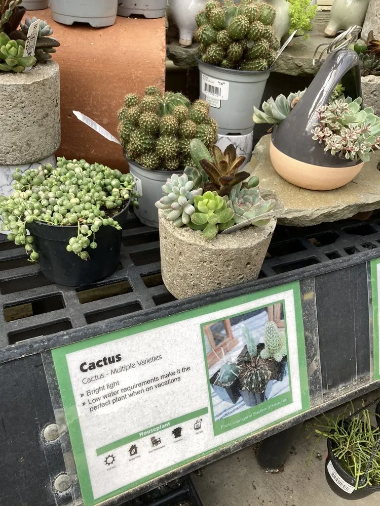 Expert residential landscaping experts serving Harrisburg, PA - Stauffers Of Kissel Hill Home & Garden