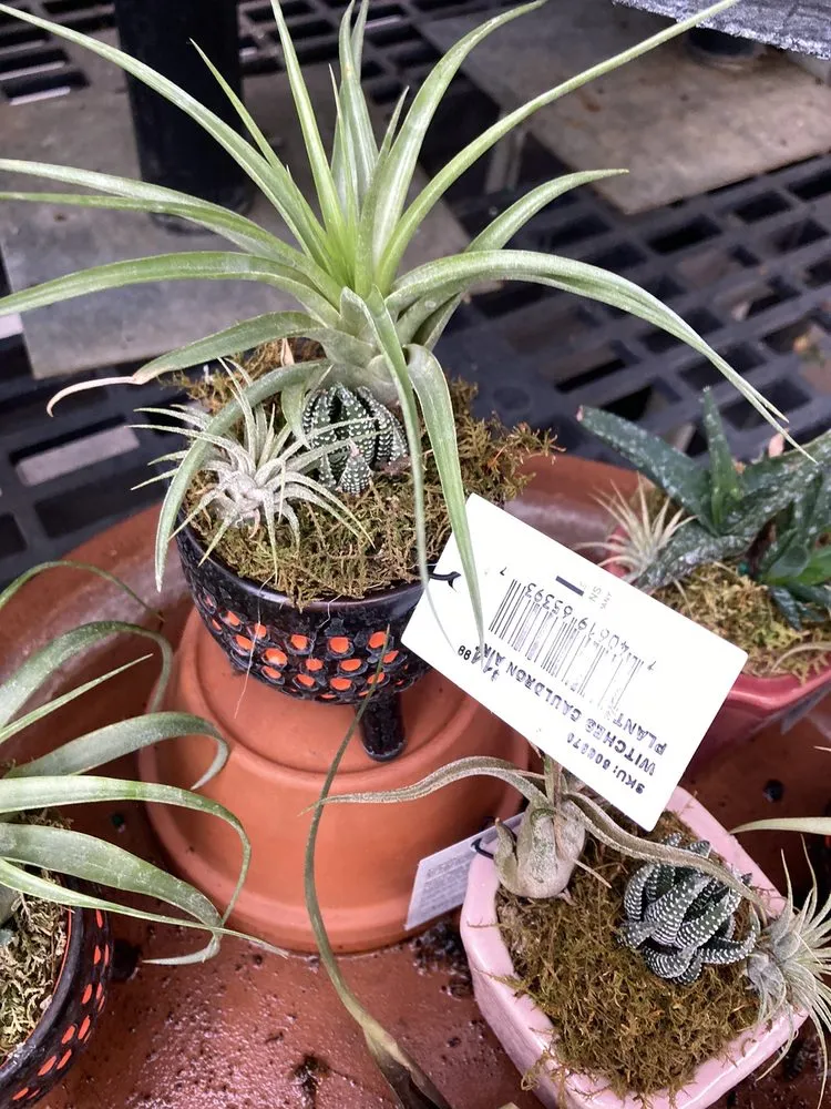 Trusted garden landscaping for homes across Harrisburg, PA - Stauffers Of Kissel Hill Home & Garden