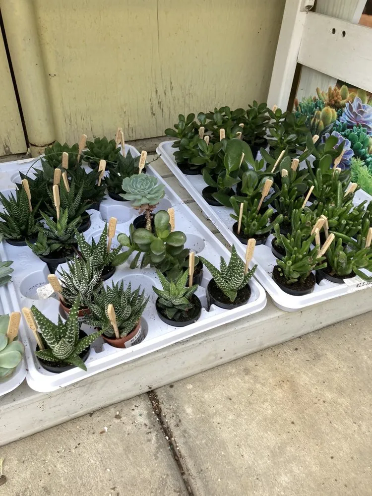 Expert lawn mowing service experts serving Harrisburg, PA - Stauffers Of Kissel Hill Home & Garden