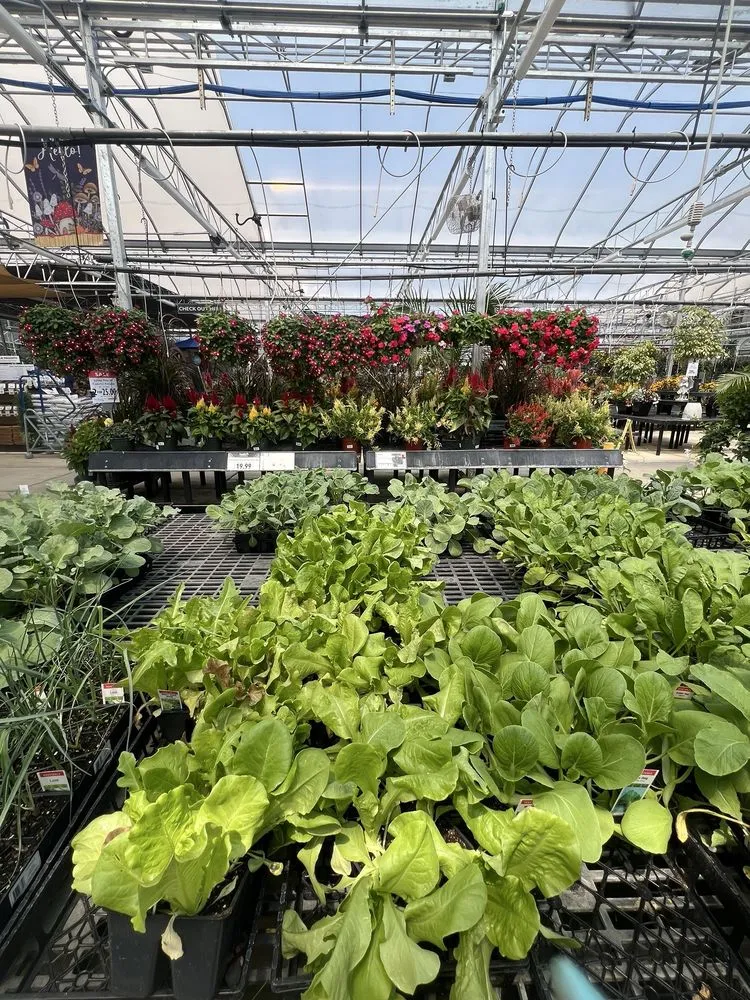 Local landscaping services with custom design across Harrisburg, PA - Stauffers Of Kissel Hill Home & Garden