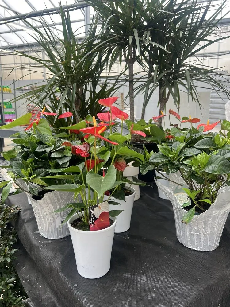 Local garden landscaping in Harrisburg, PA by Stauffers Of Kissel Hill Home & Garden