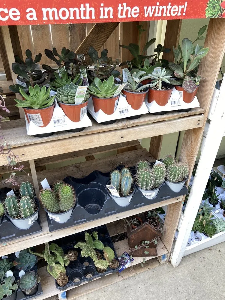 Trusted yard maintenance in Harrisburg, PA - Stauffers Of Kissel Hill Home & Garden